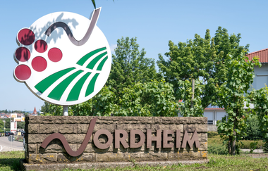 Weinsüden Weinort Nordheim am Neckar | © Gemeinde Nordheim