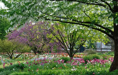 Weinheims Grüne Perlen | © Cassian Schmidt