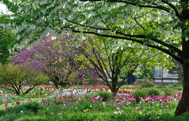 Weinheims Grüne Perlen | © Cassian Schmidt
