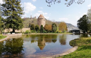 Weinheims Grüne Perlen | © Jasmin Wolf