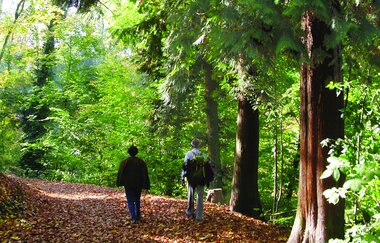 Weinheims Grüne Perlen | © Maria Zimmermann