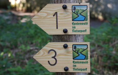 Weinheims Grüne Perlen | © Maria Zimmermann