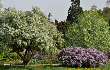 Weinheims Grüne Perlen | © Cassian Schmidt