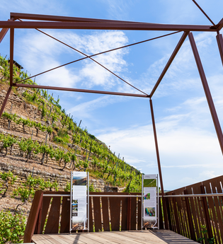 Weininformationspavillon an der Himmelsleiter Besigheim | © 3B-Tourismus-Team