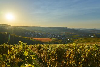 Weinpanorama Löwenstein | Aussicht über´s Weinsberger Tal | HeilbronnerLand | © Tourismus im Weinsberger Tal