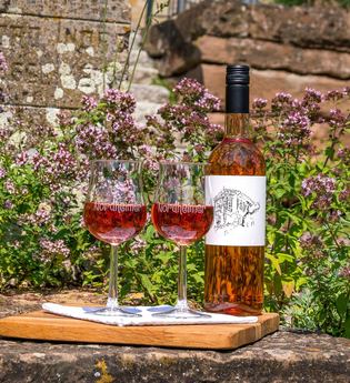 Weinsüden Weinort Nordheim am Neckar | © Gemeinde Nordheim