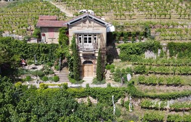 Weinschlössle Nordheim - Weinmanufaktur Feucht | HeilbronnerLand | © Markus Feucht