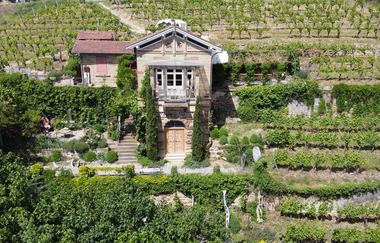 Weinschlössle Nordheim - Weinmanufaktur Feucht | HeilbronnerLand | © Markus Feucht