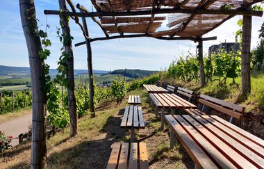 Picknickplatz im Brackenheimer Zweifelberg | HeilbronnerLand | © Touristikgemeinschaft HeilbronnerLand