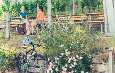 Weinpergola im Zweifelberg | Brackenheim-Neipperg | HeilbronnerLand | © Touristikgemeinschaft HeilbronnerLand