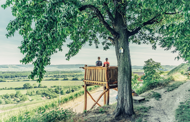 Aussichtskanzel im Zweifelberg | Brackenheim-Neipperg | HeilbronnerLand | © Touristikgemeinschaft HeilbronnerLand