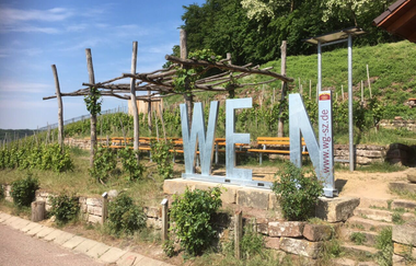 Weinwanderung durch die Weinberge | Weingärtner Stromberg-Zabergäu | Brackenheim | HeilbronnerLand | © Weingärtner Stromberg-Zabergäu eG