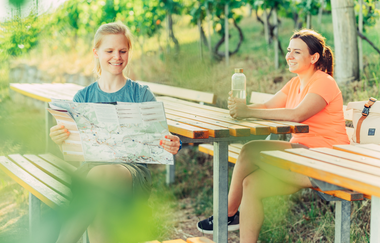 Weinpergola im Zweifelberg | Brackenheim-Neipperg | HeilbronnerLand | © Touristikgemeinschaft HeilbronnerLand