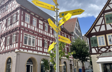 Weinreben Brackenheim | © Stadt Brackenheim | CP