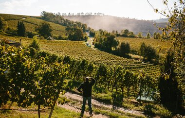 Reinhard Golter im Weinberg | Weingut Golter | HeilbronnerLand | © Golter -Weingut im Klee GbR