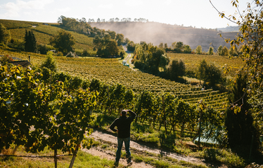 Reinhard Golter im Weinberg | Weingut Golter | HeilbronnerLand | © Golter -Weingut im Klee GbR