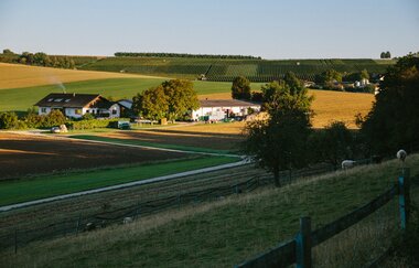 Golter Weingut im Klee | HeilbronnerLand | © Golter -Weingut im Klee GbR