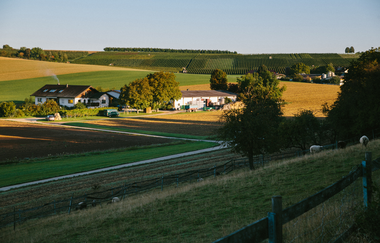 Golter Weingut im Klee | HeilbronnerLand | © Golter -Weingut im Klee GbR