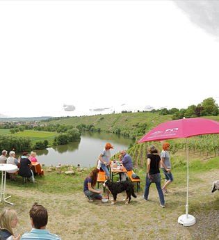 Weinterrasse Kirchheim | Weingärtner Stromberg-Zabergäu | HeilbronnerLand | © Weingärtner Stromberg-Zabergäu