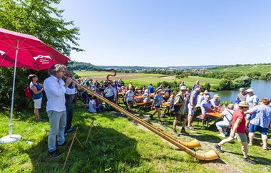 Weinterrasse Kirchheim | Weingärtner Stromberg-Zabergäu | HeilbronnerLand | © Weingärtner Stromberg-Zabergäu
