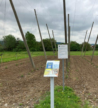 Weitersehen Schild vor einer Hopfendemonstrationsanlage | © Landratsamt Rhein-Neckar-Kreis