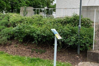 Weitersehen-Station am Hockenheimer Wasserturm | © Landratsamt Rhein-Neckar-Kreis