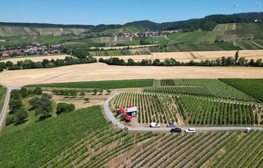 Weinausschank am Breitenauer See | © Winzer vom Weinsberger Tal