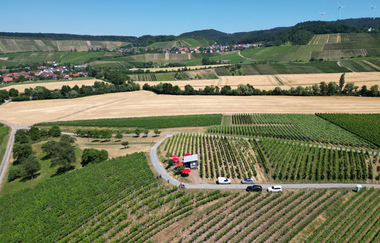 Weinausschank am Breitenauer See | © Winzer vom Weinsberger Tal