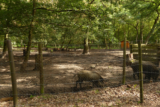 Wildgehege Oftersheim | © Landratsamt Rhein-Neckar-Kreis