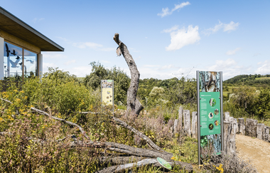 Außenaufnahme vom Spielplatz "Wildkatzenwelt". Stehende und liegende Bäume dienen als Klettermöglichkeit. | © Tourismus Marketing GmbH Baden-Württemberg