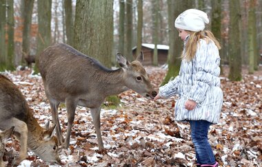 Wildparadies Tripsdrill | © Erlebnispark Tripsdrill