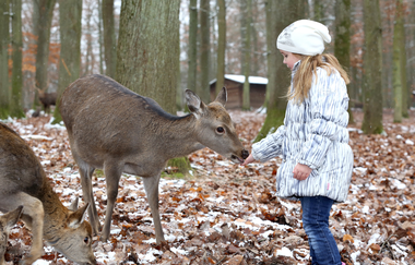 Wildparadies Tripsdrill | © Erlebnispark Tripsdrill