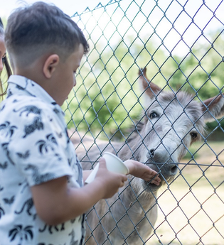 Wildpark Schwarzach | © Stadt Sinsheim