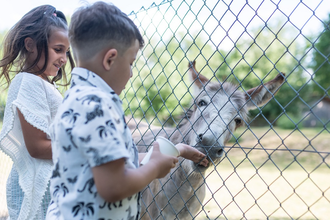 Wildpark Schwarzach | © Stadt Sinsheim