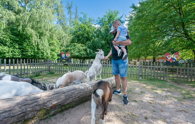 Wildpark Schwarzach | © Stadt Sinsheim
