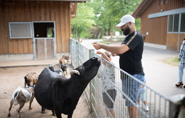 Wildpark Schwarzach | © Stadt Sinsheim
