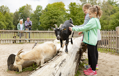Streichelzoo im Wildpark Schwarzach / Odenwald | © Touristikgemeinschaft Odenwald