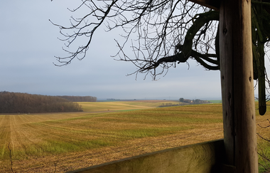 Jagd auf dem Feld | © Katja v. Mentzingen