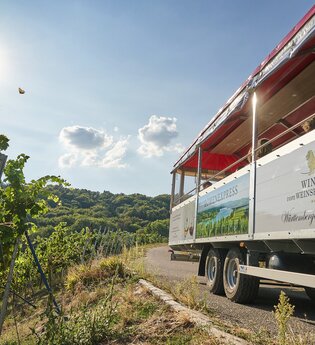 Löwen-Express | Planwagen- und Weinbergrundfahrten im Weinsberger Tal | © Tourismus im Weinsberger Tal
