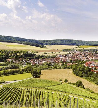 Winzergemeinschaft Franken eG | © WinzergemeinschaftFranken