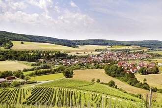 Winzergemeinschaft Franken eG | © WinzergemeinschaftFranken