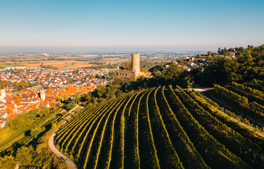 Winzergenossenschaft eG Schriesheim | © gesenden von Herr Manuel Bretschi zur Verwednung