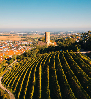 Winzergenossenschaft eG Schriesheim | © gesenden von Herr Manuel Bretschi zur Verwednung