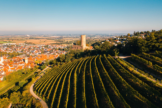 Winzergenossenschaft eG Schriesheim | © gesenden von Herr Manuel Bretschi zur Verwednung