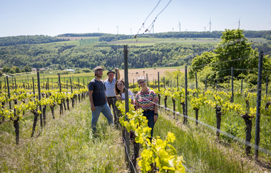 Winzerhof Baumann | © Winzerhof Baumann