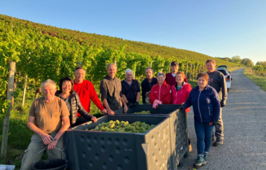 Winzerhof Fries | © Winzerhof Fries