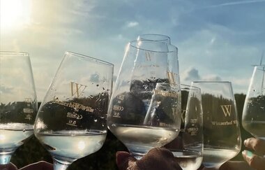 Winzerhof Wille | © Winzerhof Wille