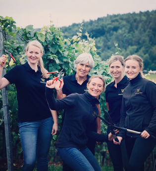 Winzerhof Wille | © Winzerhof Wille