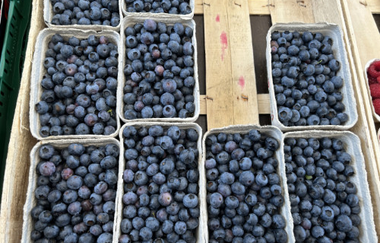 Wochenmarkt Bruchsal | © BTMV Bruchsal