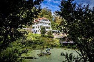 Schloss Wolfsbrunnen mit Teich | © Heidelberg Marketing GmbH / Tobias Schwerdt
